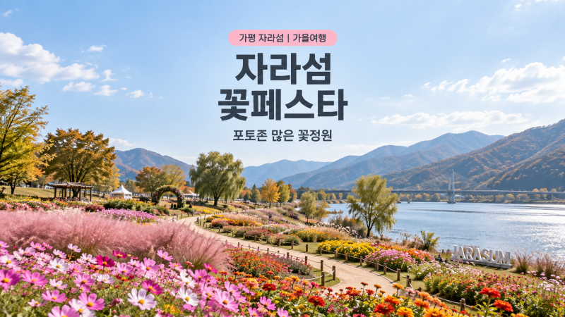 자라섬 꽃페스타 지금 가장 예쁜 곳 | 포토존·주차·산책코스