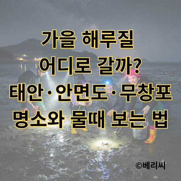 가을 해루질 어디로 갈까?｜태안·안면도·무창포 명소와 물때 보는 법