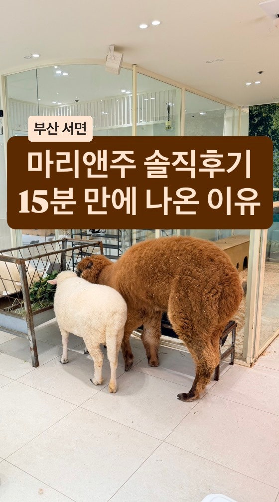 [Mari & Zoo] Busan Indoor Zoo Honest Review: Paid 90,000 Won, Left in 15 Minutes Due to Smell | Read This Before You Go...