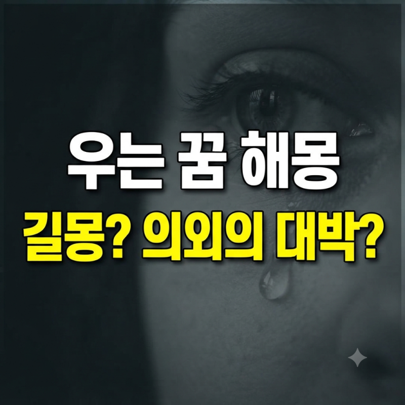 내가 우는 꿈 해몽 50가지 총정리 눈물 흘리며 엉엉 우는 꿈 길몽 흉몽 풀이