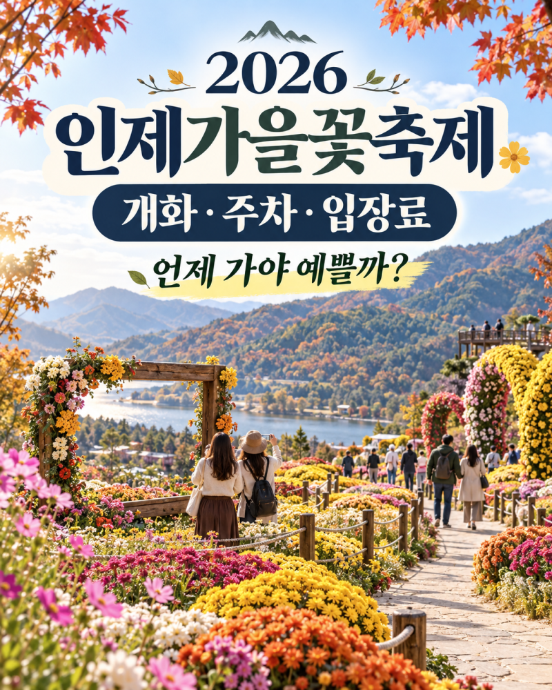 2026 인제가을꽃축제 개화·주차·입장료, 언제 가야 가장 예쁠까?