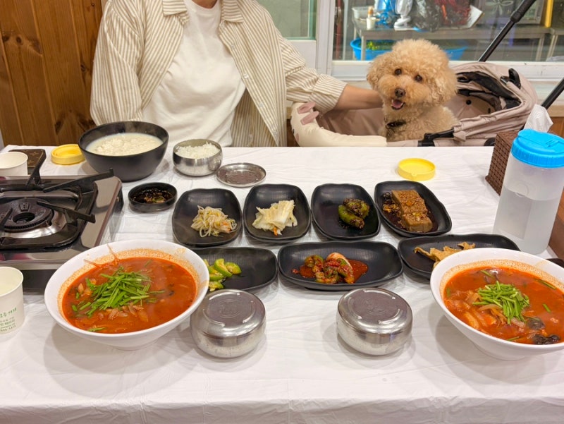 강릉 초당동 맛집 애견동반식당 초당맷돌순두부 젤라또 함께 즐겨요!