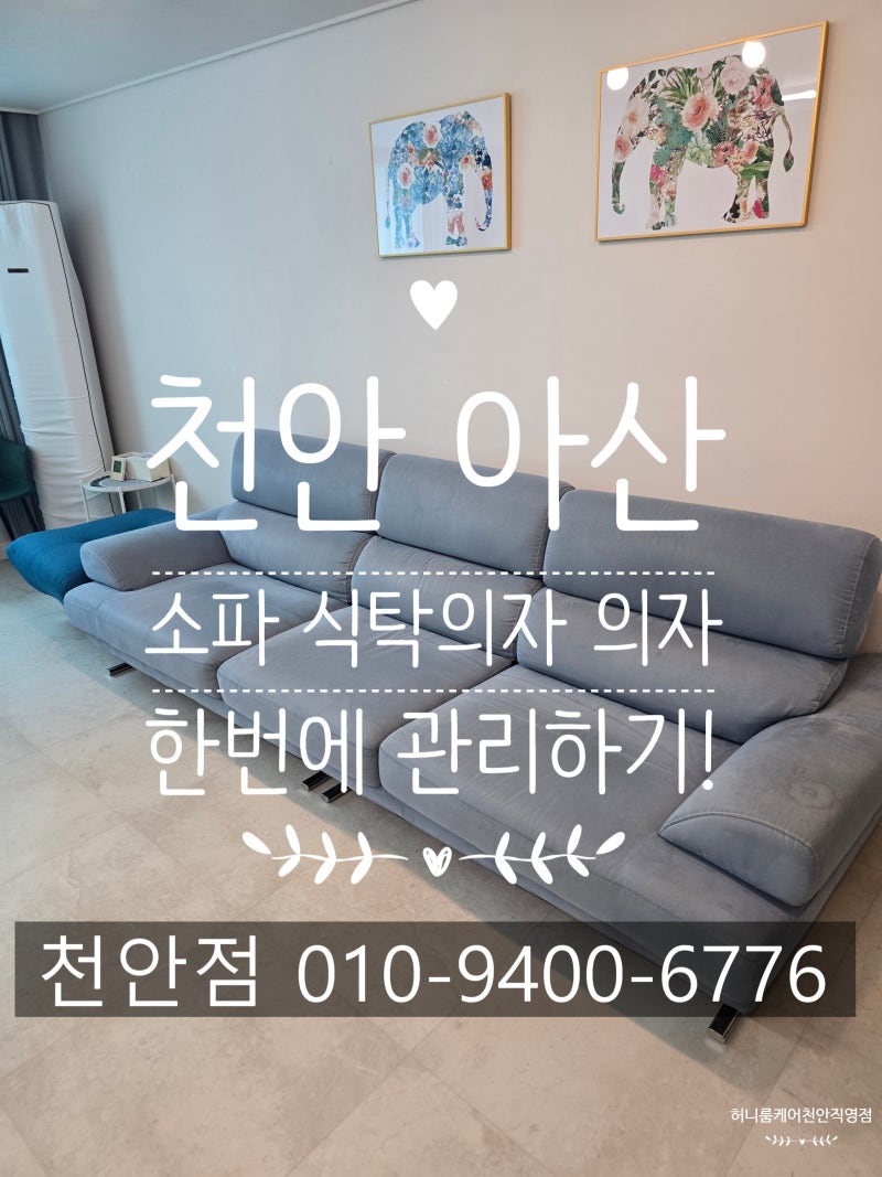 천안 소파 세탁 , 소파부터 식탁의자까지 한 번에 관리하기!