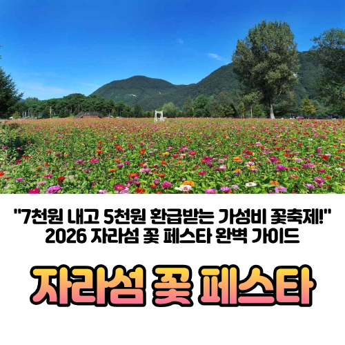 2026 가평 자라섬 꽃 페스타 가을 꽃축제 |일정·주차·선박·할인 꿀팁 총정리