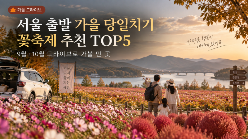서울 출발 가을 당일치기 꽃축제 추천 TOP5, 드라이브로 가볼 만한 곳