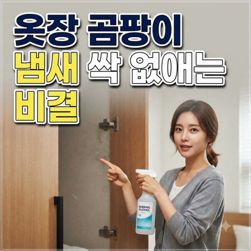 옷장 곰팡이 냄새 제거 습기 환기 관리법 에탄올로 닦아내고 바람길 터주면 확 달라집니다