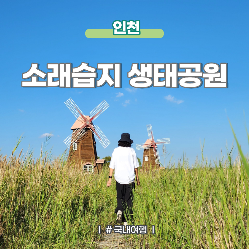 인천데이트 코스 가볼만한곳 소래습지생태공원 주차 및 이용정보