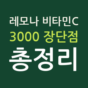레모나 내돈내산 후기, 비타민C 3000 장단점 총정리