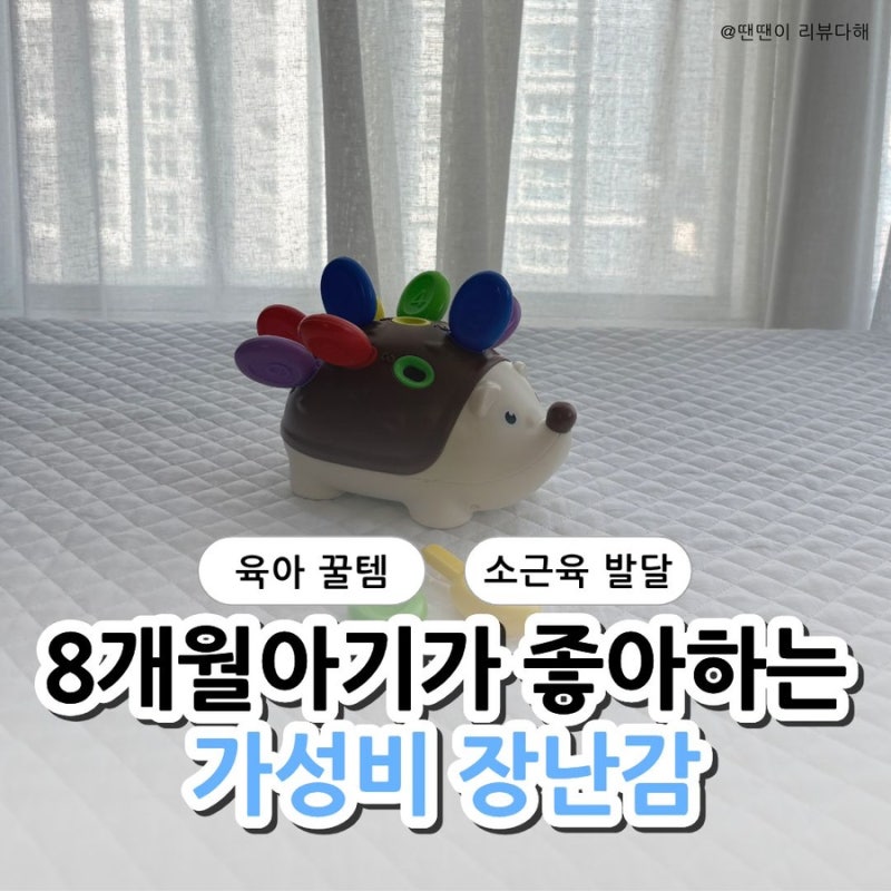 8개월 아기가 잘 가지고 노는 가성비 고슴도치 장난감