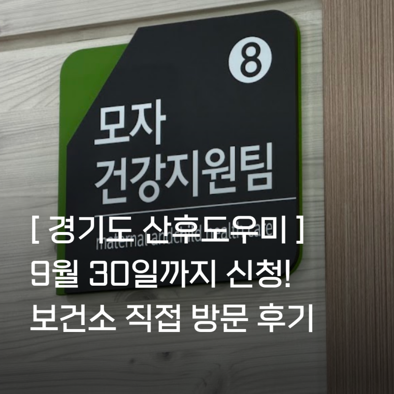 10월부터 종료되는 경기도 산후도우미 지원, 보건소에서 직접 신청한 방법