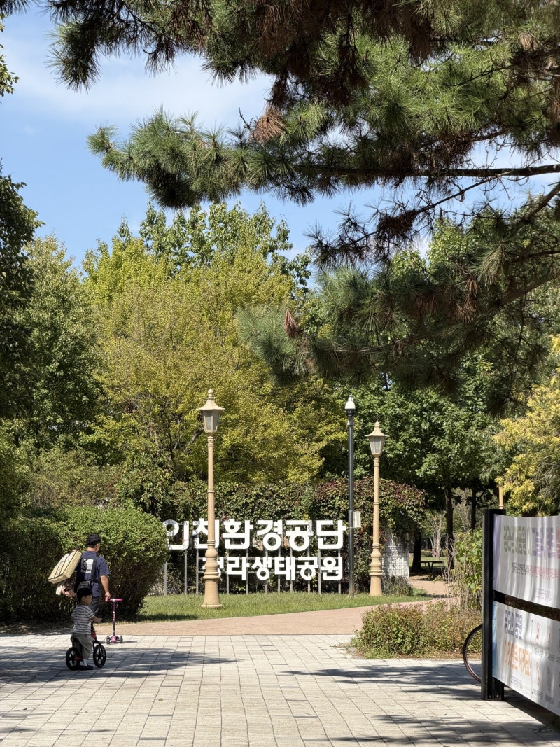인천 청라 가볼만한곳 / [청라생태공원] 무료주차 산책 후기