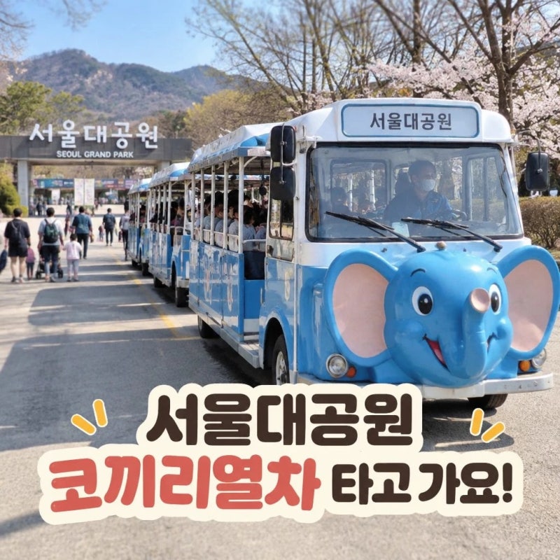 서울대공원 코끼리열차 가격 얼마? 주차부터 아이와 추천 코스까지 총정리