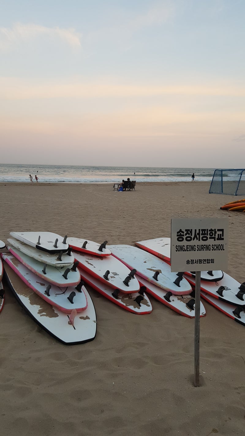 (부산 바캉스 서핑) 송정 해수욕장 서핑 업체 리스트