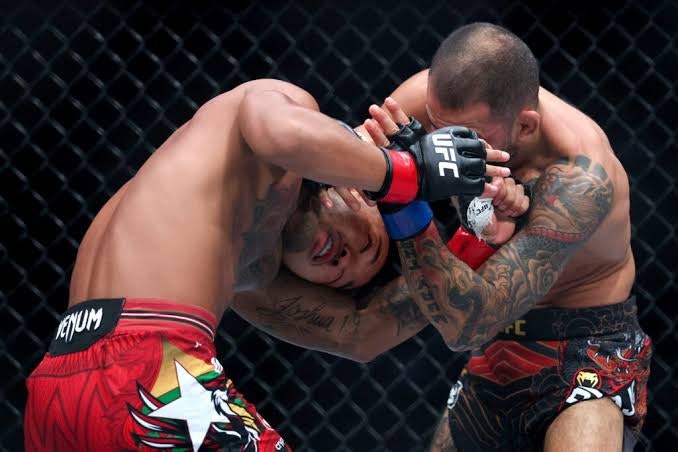 UFC 331 시간 맞춰 본 보람이 있었다 — 조슈아 반, 판토자를 압도한 역대급 명승부