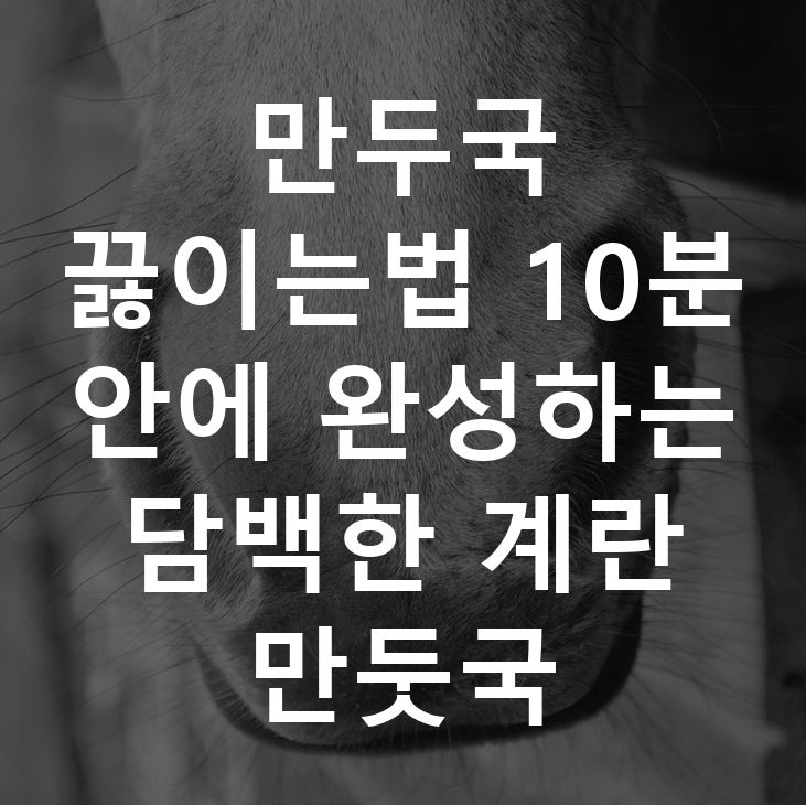 만두국 끓이는법 10분 안에 완성하는 담백한 계란 만둣국