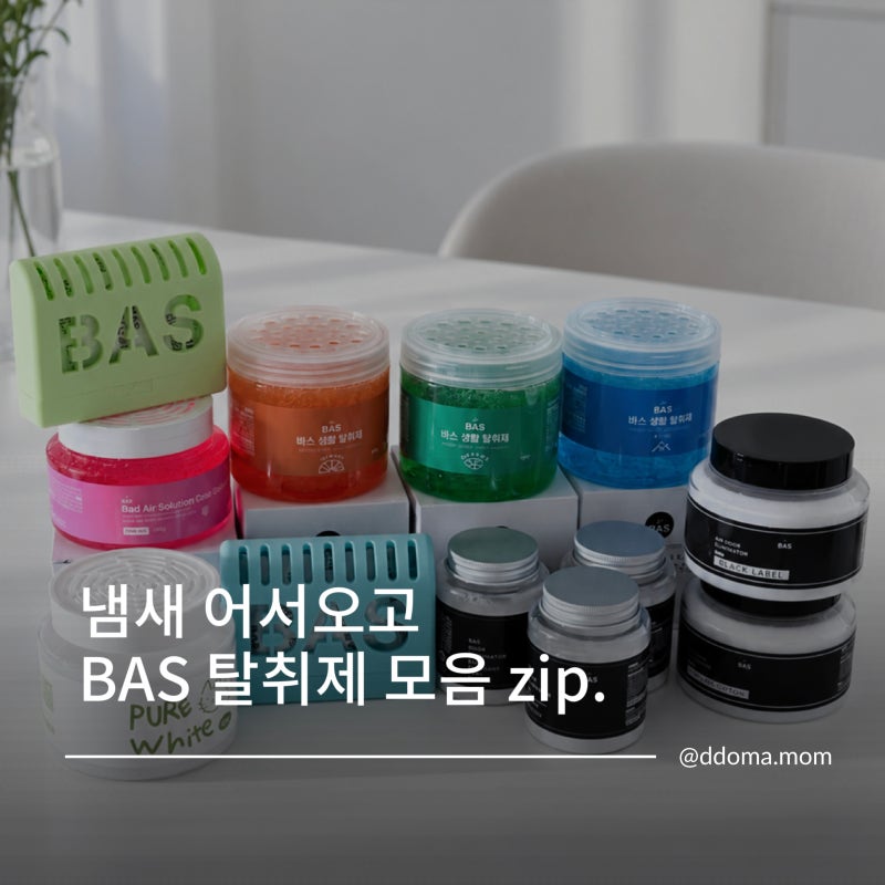 냄새 잡는 고체 탈취제 BAS 바스 생활 탈취제 모음