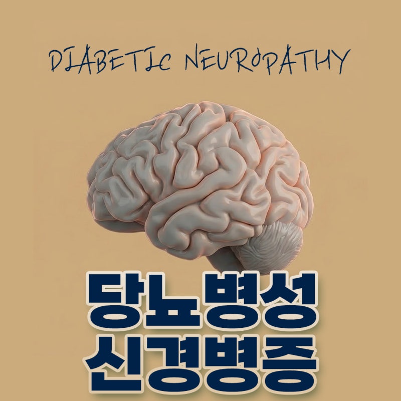 당뇨병성 신경병증(Diabetic Neuropathy)의 모든 것: 원인·병태생리부터 말초감각 이상 평가 및 근....
