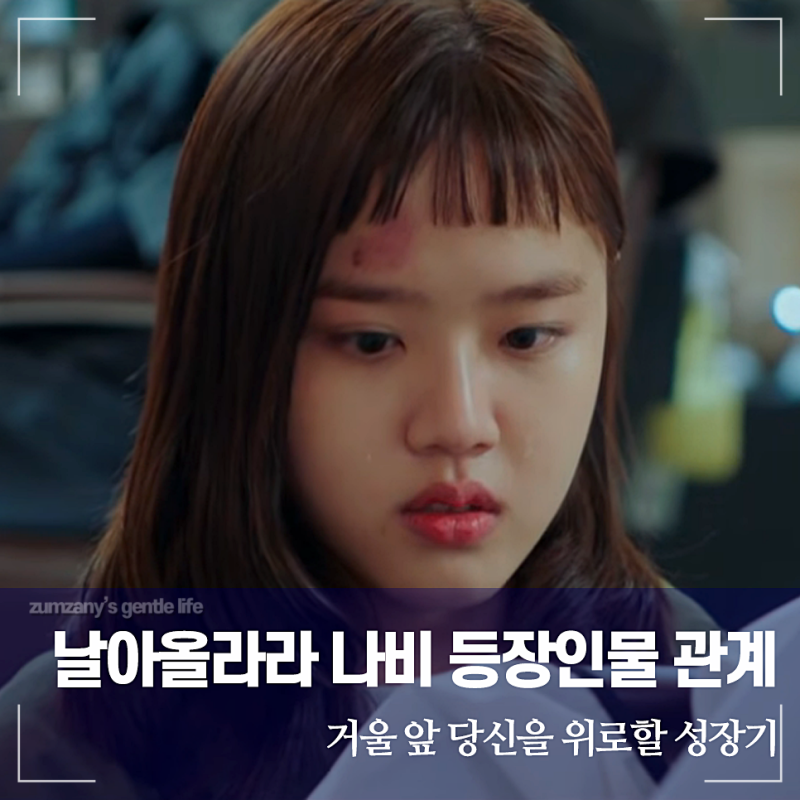 날아올라라 나비 기본정보 등장인물 관계도, 거울 앞 당신을 위로할 눈부신 성장기