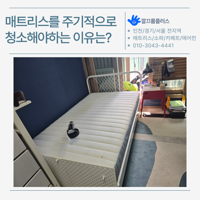 매트리스 청소를 주기적으로 해야 하는 이유 | 인천 부평 침대 클리닝 | 집먼지 진드기, 오줌 ....