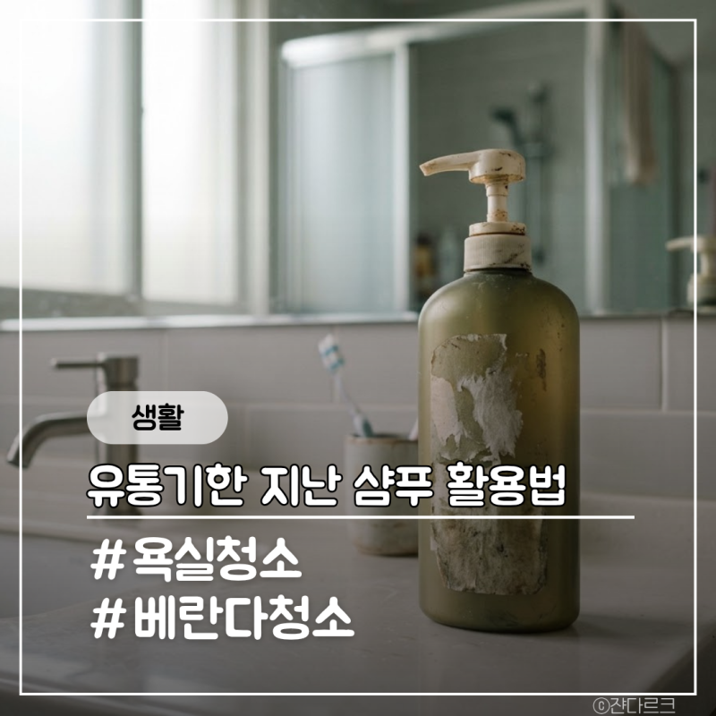 유통기한 지난 샴푸 의외의 활용방법 5가지