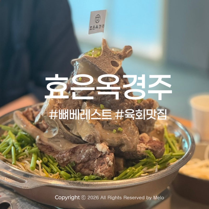 효은옥경주 보문단지 맛집 효은옥｜어르신부터 아이까지 함께 먹은 뼈베레스트