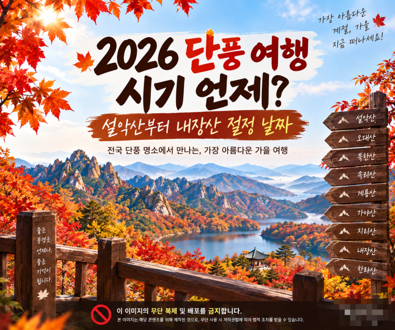 2026 단풍 여행 시기 언제? 설악산부터 내장산 절정 날짜