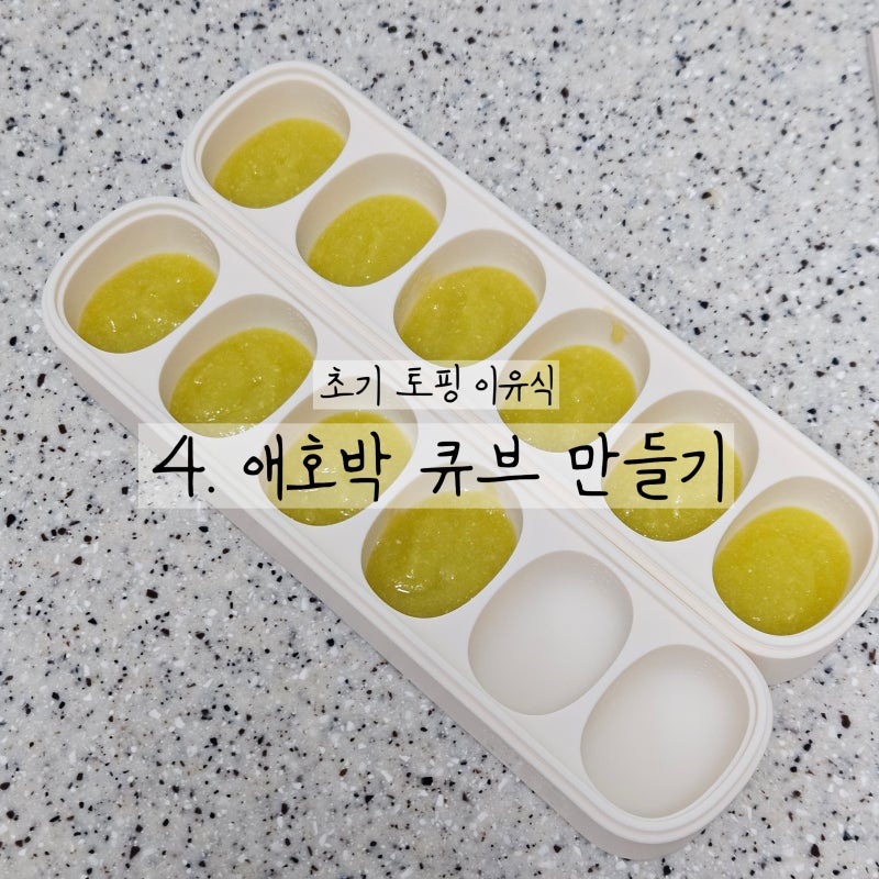 초기 이유식 : 애호박 큐브 만들기 (한살림)