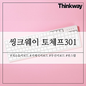 씽크웨이 토체프301 저소음 기계식 키보드 정리