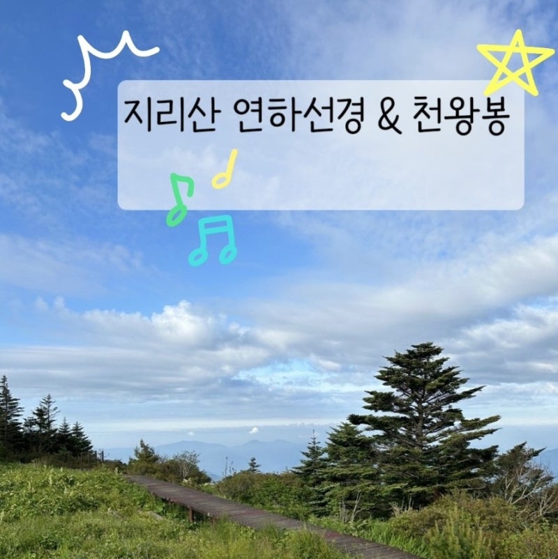 [지리산] 연하선경-천왕봉 최단코스 무박 산행 후기 (소요시간, 등산코스 등)