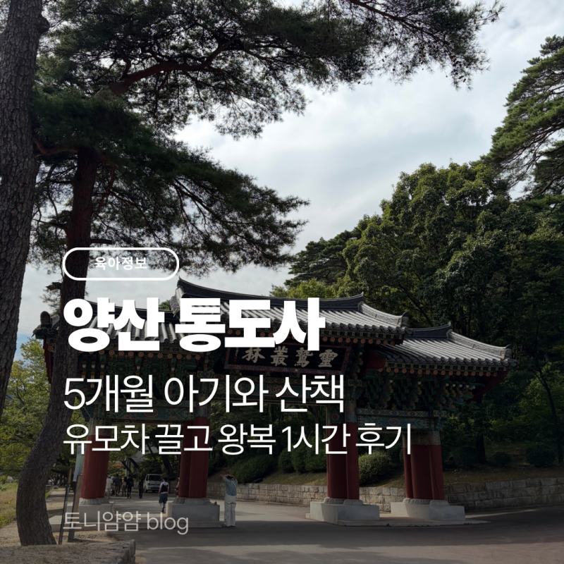 [양산 아기랑 가볼 만한 곳 | 양산 통도사] 5개월 아기와 유모차로 걷기 좋은 산책
