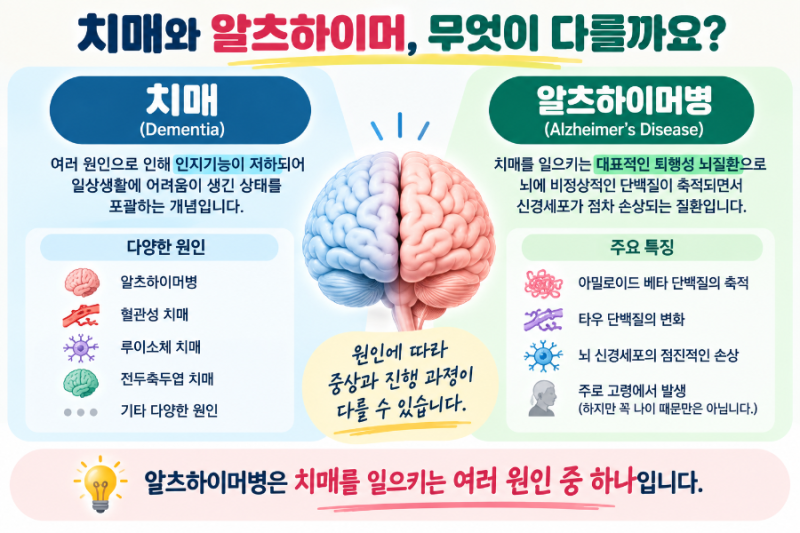 치매와 알츠하이머 차이, 같은 질환일까? 증상과 원인 총정리