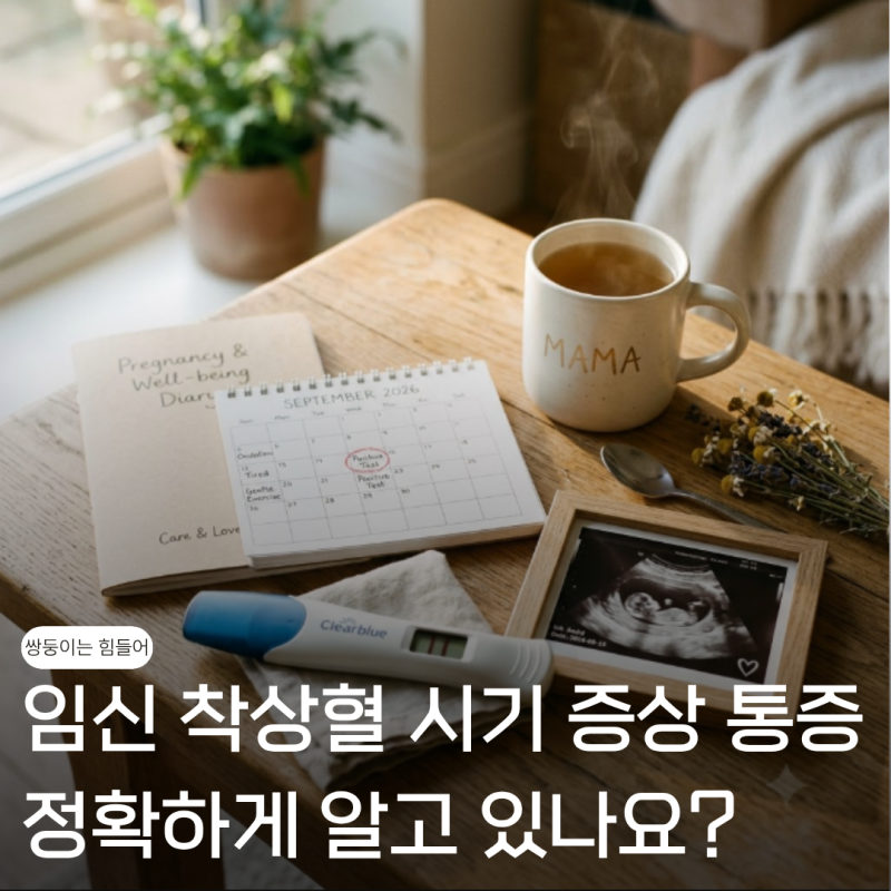 임신 착상혈 시기와 증상 통증, 정확하게 알고 있나요? 필독