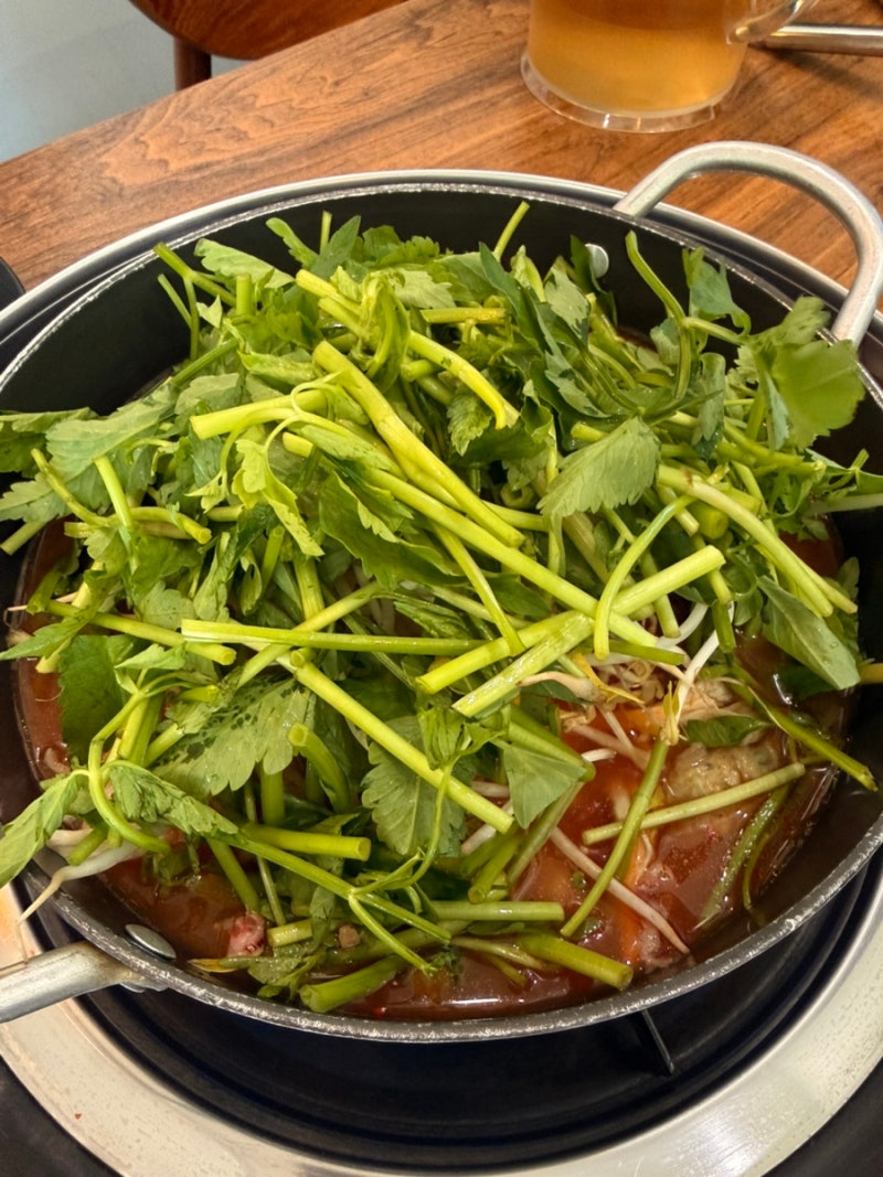 서울 식물원 맛집 추천, 러닝 후 즐긴 양천샤브손칼국수 마곡본점 특선묵은지 후기