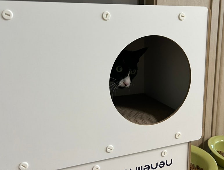 고양이 숨숨집, 터널, 스크래쳐 3가지로 활용가능한 1만원대 가성비 '네네린도 스크래쳐'