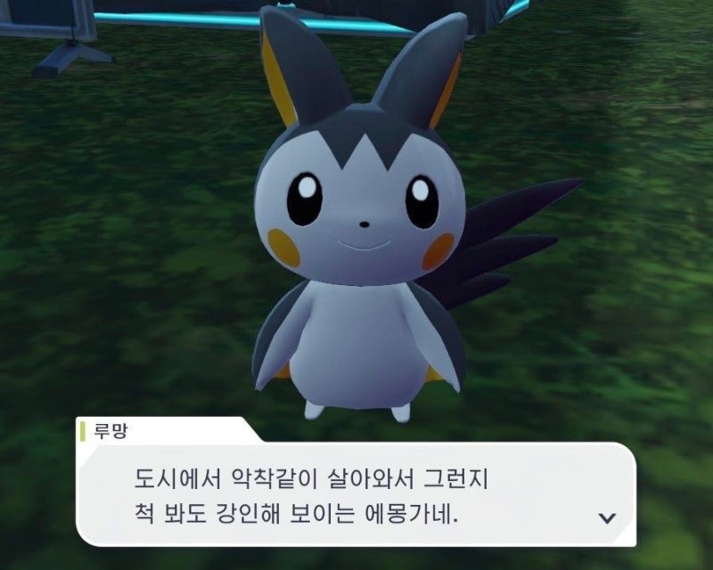 [일본 교환학생] 일본 오자마자 억까가 너무 껴서 힘들어 (국제소포반송, 금융앱인증, 라인모....