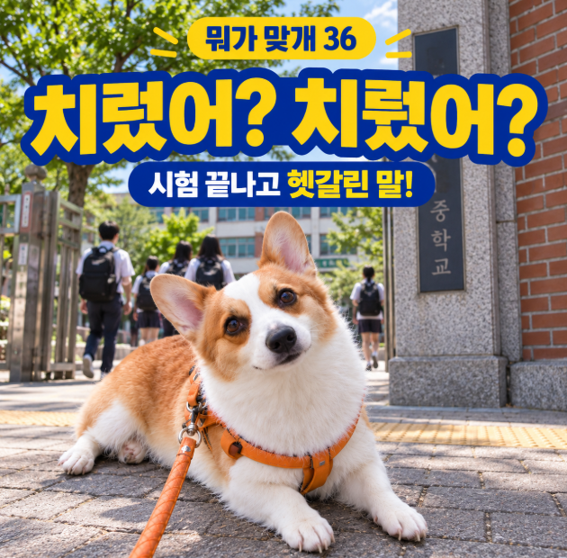 ep36. “시험 잘 치뤘어?”라고 보내셨나요? 응원 문자에서 헷갈리는 이 말｜치르다 vs 치루다....