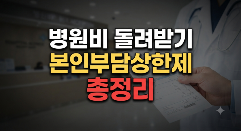 2026 본인부담상한제 환급 지급일 및 시기 총정리(+조회)