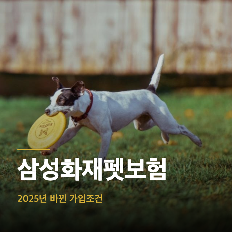 삼성화재펫보험, 2025년 바뀐 가입조건