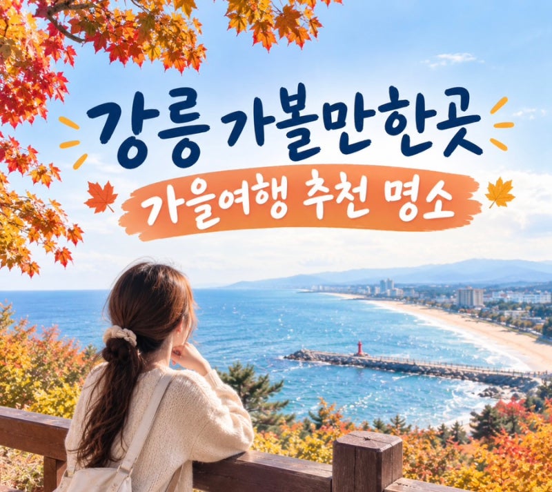 강릉 가볼만한곳 BEST 7｜10월 11월 가을 여행 추천 명소