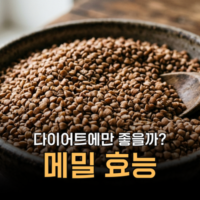 다이어트에 메밀 효능 좋나요? 부작용, 영양성분, 메밀차 등 먹는법