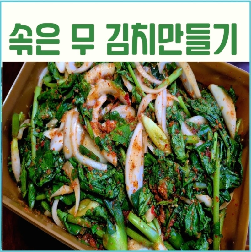 텃밭 표 가을 김치 만들기