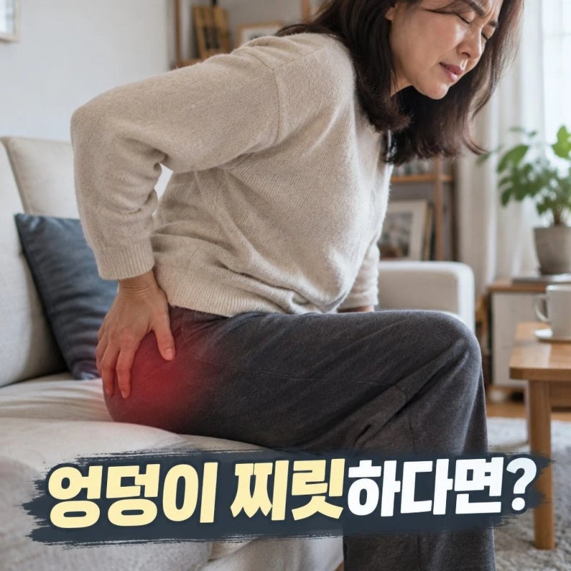 [고관절 통증] 엉덩이가 찌릿하다면 당장 하던 일을 멈추세요, 고관절 원인부터 관리. 집에....
