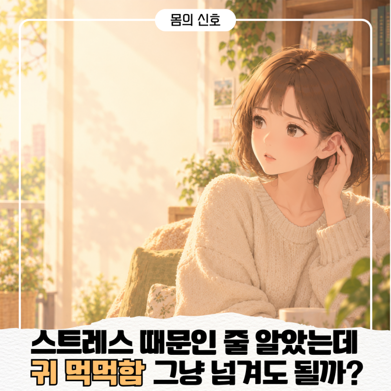 돌발성 난청 원인 스트레스겠지 넘겼는데 확인이 필요한 신호가 따로 있어요
