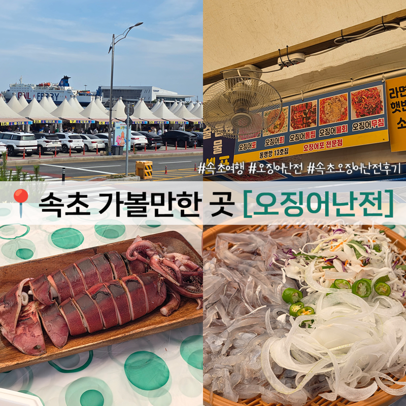 Sokcho Attractions: Dongmyeong Port Squid Market - Weekend Visit and Waiting Experience