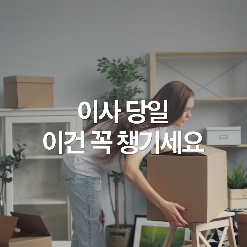 이사 당일 체크리스트, 이것 놓치면 다시 돌아가야 해요