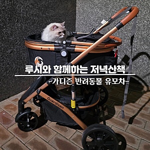 고양이 유모차 가디즌, 산책냥 루시와 직접 타본 솔직후기