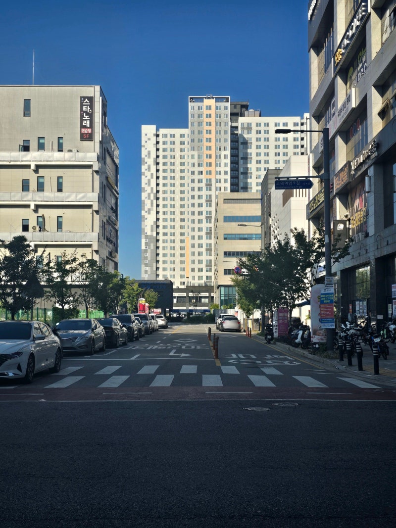 경기도 평택 고덕동 2164-1 부근 불법주정차 단속 카메라 가동｜평택고덕 공영주차장·추석연....