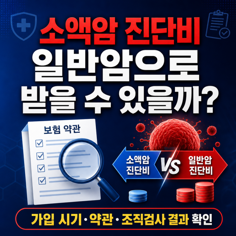 소액암이라 일반암 진단비 못 받는다? 유사암·소액치료비 암 보험금 확인하는 방법