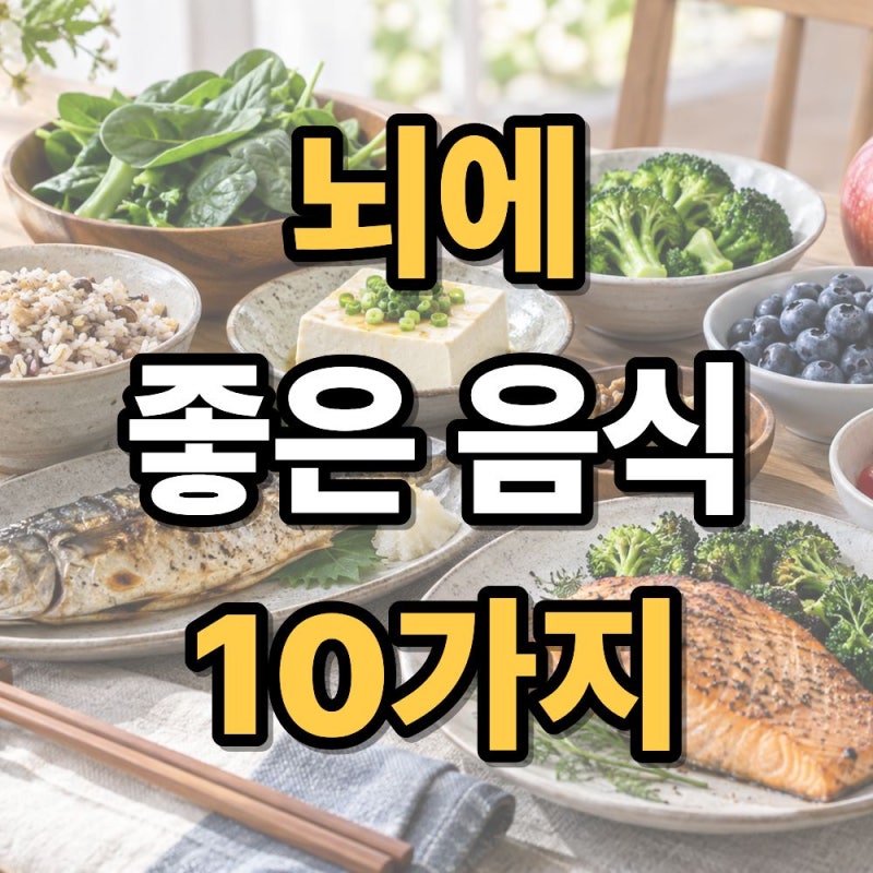 뇌에 좋은 음식 10가지 총정리 뇌경색·뇌혈관 건강까지 함께 알아보기