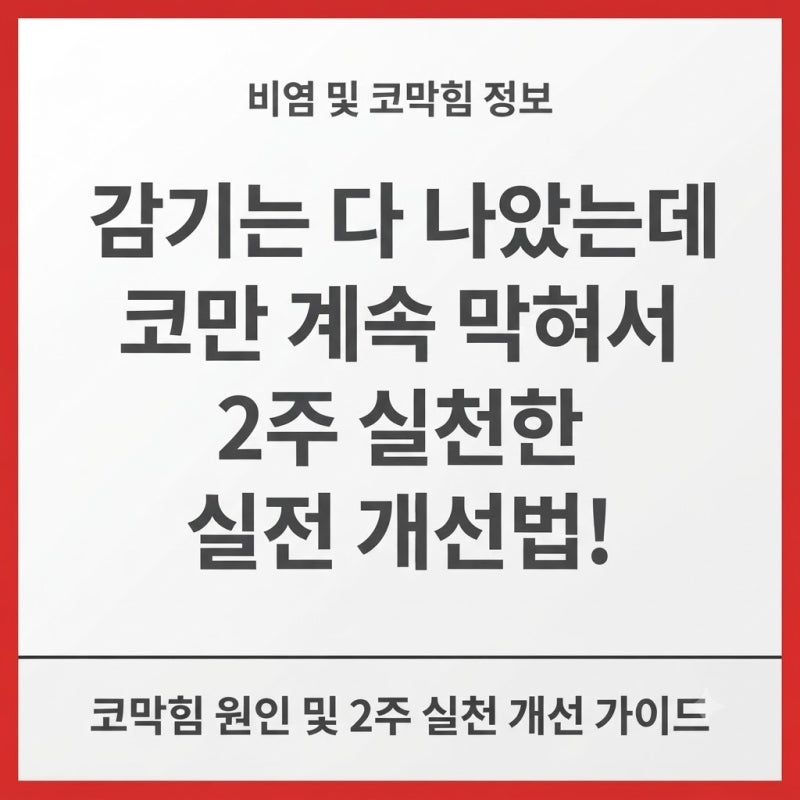 감기는 다 나았는데 코만 계속 막혀서 2주 실천한 실전 개선법!
